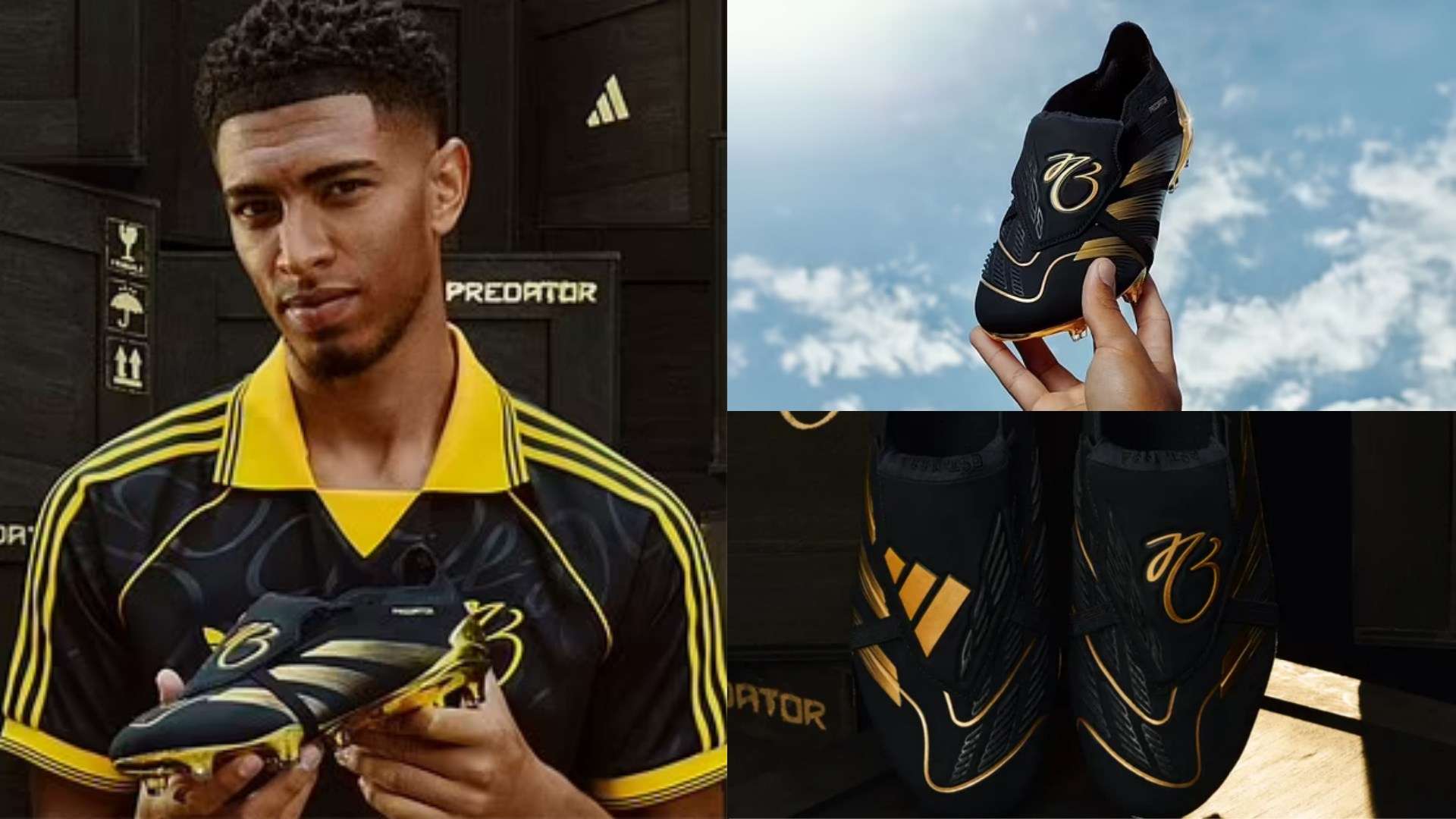 弗雷德不是 弗雷德不是