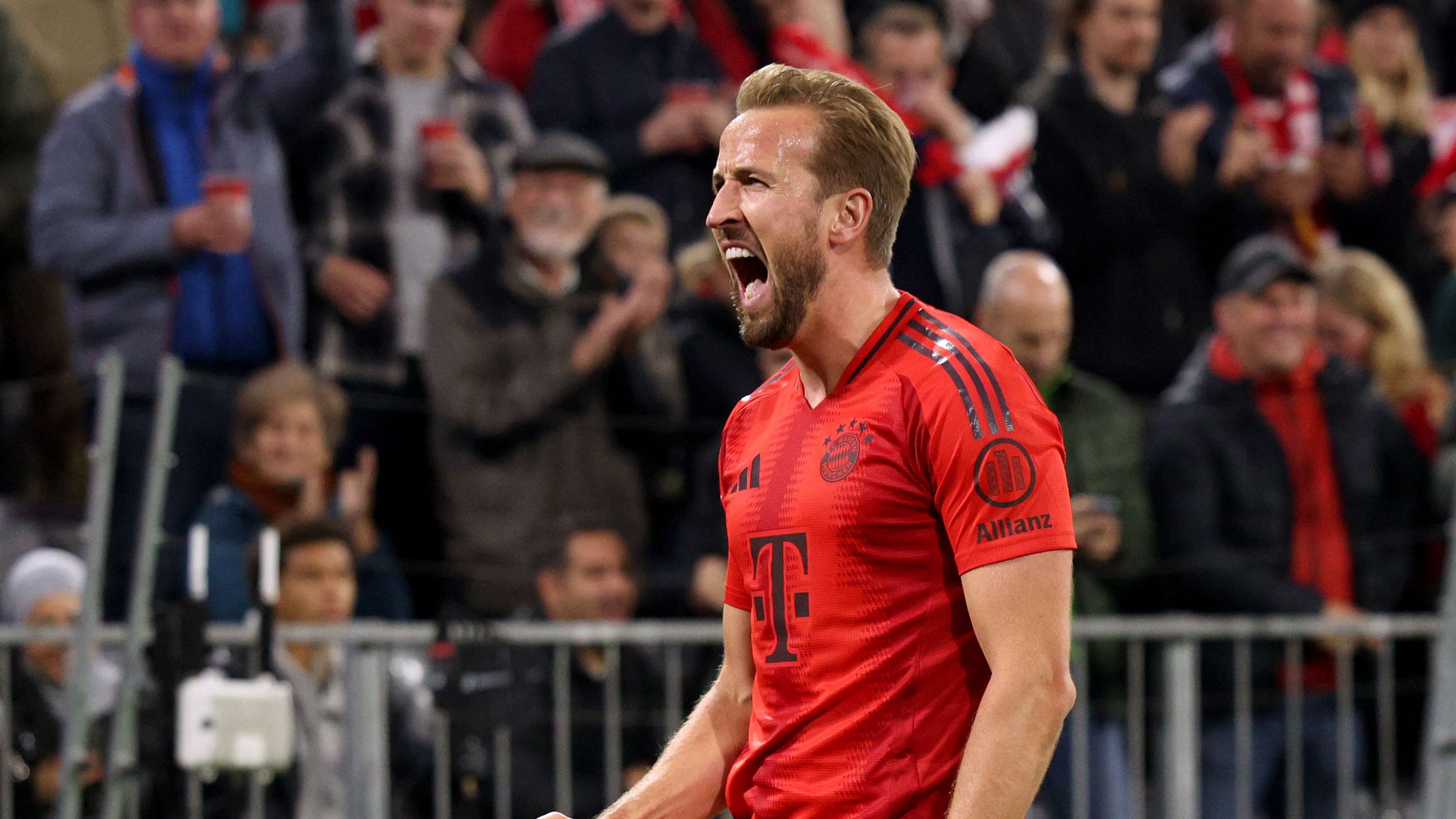 他个人职业 他个人职业