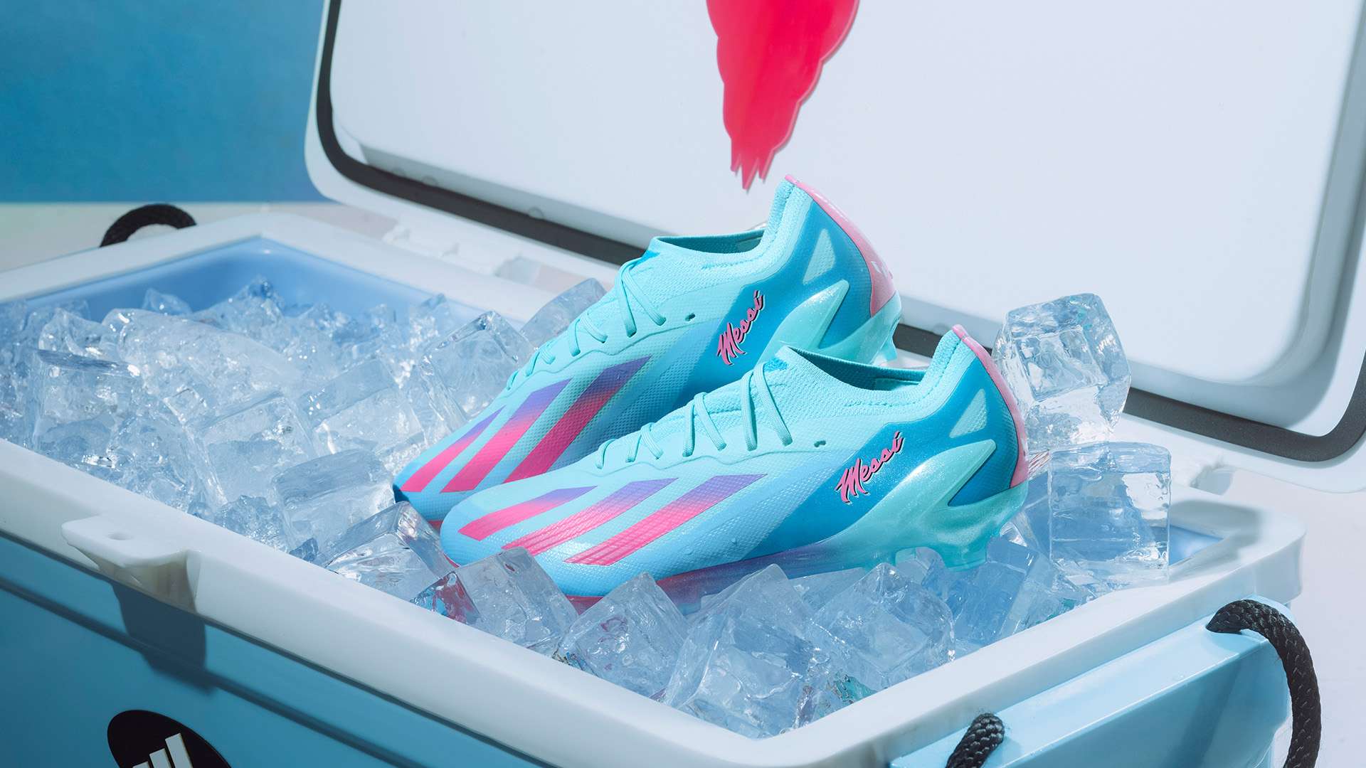 好在門將與 好在門將與